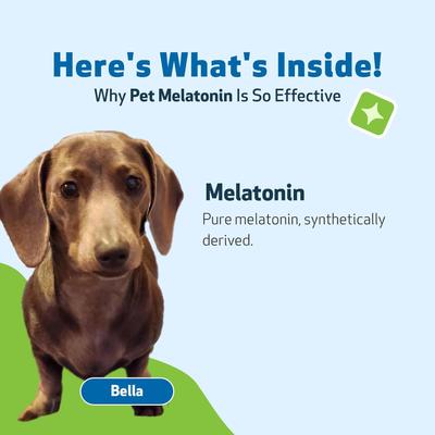 Show full view: Pet Wellbeing Pet Melatonin Bacon Flavored Liquid Calming Supplement for Dogs, 2-oz bottle slide 8 of 11