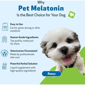 Pet Wellbeing Pet Melatonin Bacon Flavored Liquid Calming Supplement for Dogs, 2-oz bottle