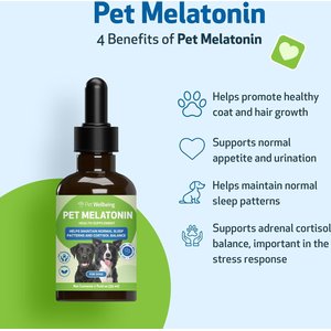 Pet Wellbeing Pet Melatonin Bacon Flavored Liquid Calming Supplement for Dogs, 2-oz bottle