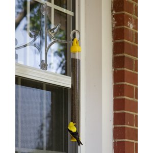 Mr. Canary Co. Original Nyjer Finch Tube Feeder, 8-oz