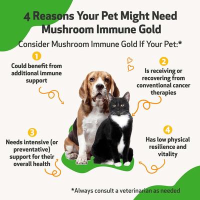 Show full view: Pet Wellbeing Mushroom Immune GOLD Bacon Flavored Liquid Immune Supplement for Cats & Dogs, 8-oz bottle slide 3 of 10