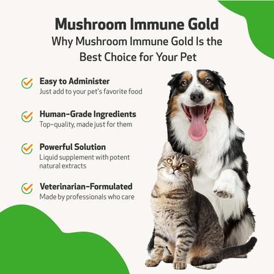 Show full view: Pet Wellbeing Mushroom Immune GOLD Bacon Flavored Liquid Immune Supplement for Cats & Dogs, 8-oz bottle slide 6 of 10