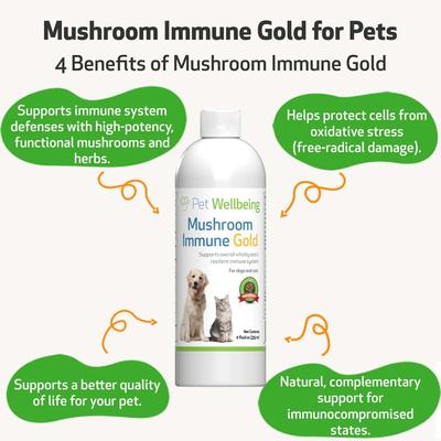 Show full view: Pet Wellbeing Mushroom Immune GOLD Bacon Flavored Liquid Immune Supplement for Cats & Dogs, 8-oz bottle slide 4 of 10