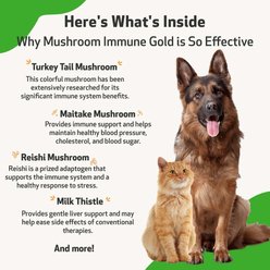 Pet Wellbeing Mushroom Immune GOLD Bacon Flavored Liquid Immune Supplement for Cats & Dogs, 8-oz bottle slide 2 of 8