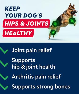 Show full view: StrellaLab Glucosamine Chondroitin & Hip & Joint with Omegas 3 & Fish Oil Advanced Mobility Chew Supplement for Dogs, 120 count slide 3 of 9