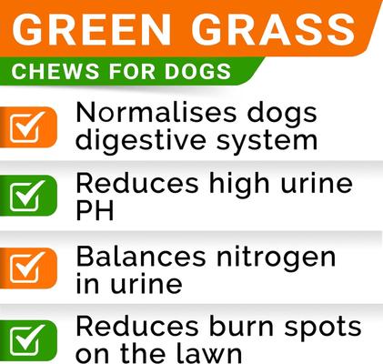 Show full view: StrellaLab Grass Burn Spot & Urine Neutralizer & Grass Spot Saver with Methionine Enzymes Chew Supplement for Dogs, 120 count slide 4 of 10