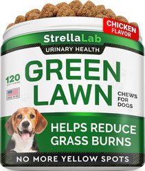 StrellaLab Grass Burn Spot & Urine Neutralizer & Grass Spot Saver with Methionine Enzymes Chew Supplement for Dogs, 120 count