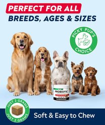 StrellaLab Probiotics & Digestive Enzymes Fiber & Digestion & Gut Health Chew Supplement for Dogs, 120 count slide 2 of 8