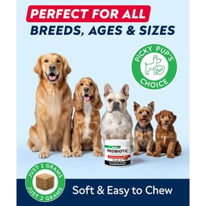 StrellaLab Probiotics & Digestive Enzymes Fiber & Digestion & Gut Health Chew Supplement for Dogs, 120 count