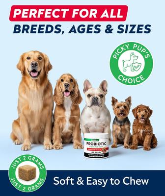 Show full view: StrellaLab Probiotics & Digestive Enzymes Fiber & Digestion & Gut Health Chew Supplement for Dogs, 120 count slide 7 of 9