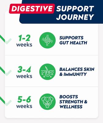 Show full view: StrellaLab Probiotics & Digestive Enzymes Fiber & Digestion & Gut Health Chew Supplement for Dogs, 120 count slide 5 of 9