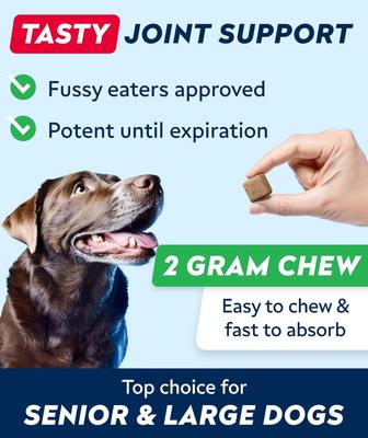 Show full view: StrellaLab Glucosamine Chondroitin & Hip & Joint with Omegas 3 & Fish Oil Advanced Mobility Chew Supplement for Dogs, 120 count slide 6 of 9