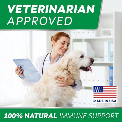 Show full view: StrellaLab Advanced Allergy Relief & Anti Itch Relief with Omega 3 Fish Oil & Probiotics Skin & Coat Chew Supplement, 120 count slide 9 of 10