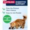 Show in main carousel: StrellaLab Cat Probiotic Powder & Probiotics with Diarrhea Fiber & Digestive Support Supplement for Cats, 4-oz bottle slide 5 of 11