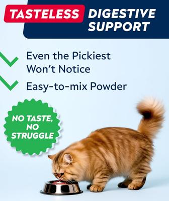 Show full view: StrellaLab Cat Probiotic Powder & Probiotics with Diarrhea Fiber & Digestive Support Supplement for Cats, 4-oz bottle slide 5 of 11
