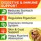 Show in main carousel: StrellaLab Probiotics & Digestive Enzymes Fiber & Digestion & Gut Health Chew Supplement for Dogs, 180 count slide 3 of 10