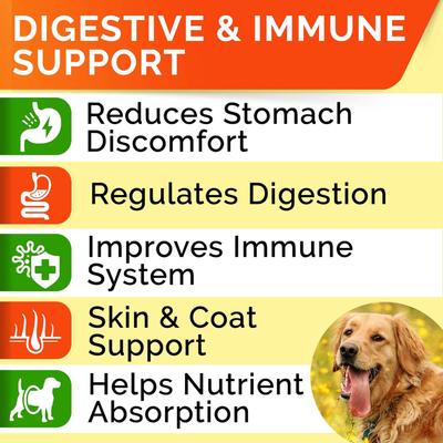 Show full view: StrellaLab Probiotics & Digestive Enzymes Fiber & Digestion & Gut Health Chew Supplement for Dogs, 180 count slide 3 of 10