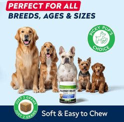 StrellaLab Allergy Relief & Anti Itch Relief with Omega 3 Skin & Coat Fish Oil Chew Supplement for Dogs, 120 count slide 2 of 8