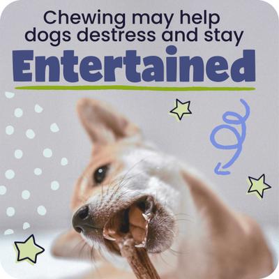 Show full view: Pawstruck Braided Bully Sticks Dog Treats, 1-lb bag, 5-in slide 7 of 13