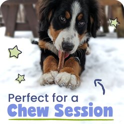 Pawstruck Straight Bully Sticks Dog Treats, 1-lb bag, 8-12 in slide 2 of 9