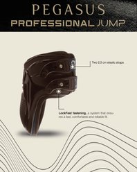 Gatusos by ThinLine Pegasus Professional Fetlock Jump Horse Boots, Black, Large slide 2 of 5