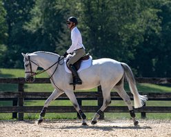 ThinLine Woven Wool Euro Roll Horse Jumper Pad, White slide 2 of 3