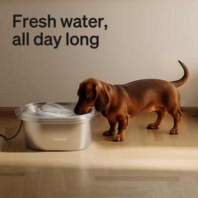 Show full view: Petlibro Stainless Steel Dog & Cat Fountain, 101-oz slide 9 of 12