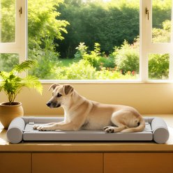 Caghash Egg Crate Foam Orthopedic Bolstered Sofa Dog Couch Bed with Removable Cover, Grey, Medium: 36 x 22 x 2-in slide 2 of 8