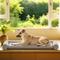 Show in main carousel: Caghash Egg Crate Foam Orthopedic Bolstered Sofa Dog Couch Bed with Removable Cover, Grey, Medium: 36 x 22 x 2-in slide 7 of 8