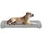 Show in main carousel: Caghash Egg Crate Foam Orthopedic Bolstered Sofa Dog Couch Bed with Removable Cover, Grey, Medium: 36 x 22 x 2-in slide 8 of 8