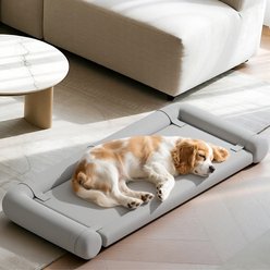 Caghash Egg Crate Foam Orthopedic Bolstered Sofa Dog Couch Bed with Removable Cover, Grey, Medium: 36 x 22 x 2-in slide 1 of 8