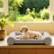 Show in main carousel: Caghash Egg Crate Foam Orthopedic Bolstered Sofa Dog Couch Bed with Removable Cover, Grey, Small: 22 x 22 x 2-in slide 7 of 8