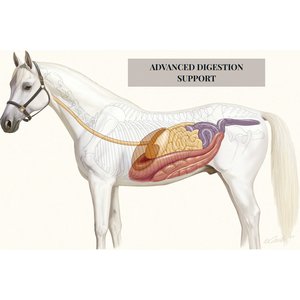 Grand Meadows Grand Complete Comprehensive Support Powder Horse Supplement, 5-lb tub