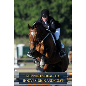 Grand Meadows Grand Complete Comprehensive Support Powder Horse Supplement, 5-lb tub