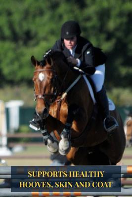 Show full view: Grand Meadows Grand Complete Comprehensive Support Powder Horse Supplement, 5-lb tub slide 4 of 8