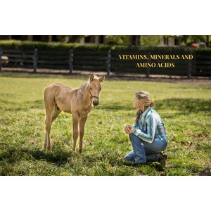 Grand Meadows Grand Complete Comprehensive Support Powder Horse Supplement, 5-lb tub