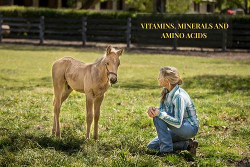 Show full view: Grand Meadows Grand Complete Comprehensive Support Powder Horse Supplement, 5-lb tub slide 7 of 8