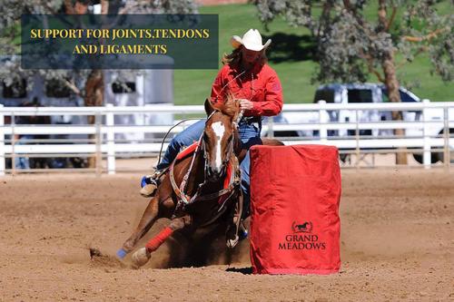 Show full view: Grand Meadows Grand Complete Comprehensive Support Powder Horse Supplement, 5-lb tub slide 5 of 8