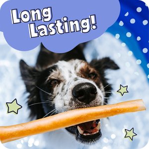 Pawstruck Collagen Stick Dog Treats, Large, 5 count