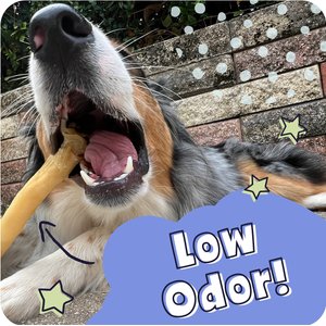 Pawstruck Collagen Stick Dog Treats, Large, 5 count