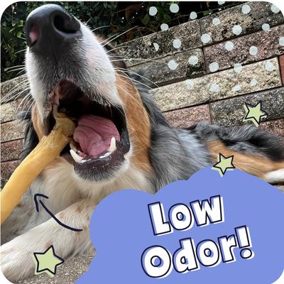 Show full view: Pawstruck Collagen Stick Dog Treats, Small, 5 count slide 8 of 13