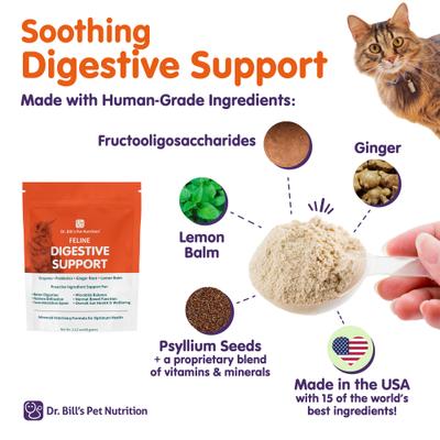 Show full view: Dr. Bill's Pet Nutrition Feline Digestive Support Cat Supplement Powder, 60-gm pouch slide 4 of 8
