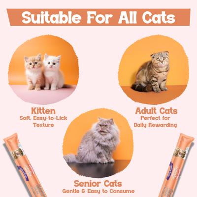 Show full view: Beefeaters Lickables Salmon Puree Recipe Cat Treat, 1.59-oz bag, case of 12 slide 8 of 8