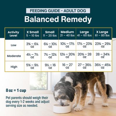 Show full view: JustFoodForDogs Balanced Remedy Recipe Frozen Human-Grade Fresh Dog Food, 72-oz pouch, case of 7 slide 10 of 12