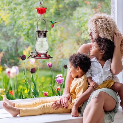 Show full view: Kingsyard Hand Lantern Inspired Leak-Proof Sod Bottle Bird Feeder, 24-oz, Brown slide 4 of 8