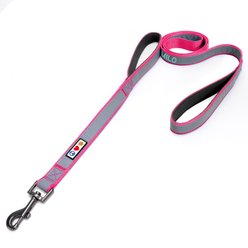 Pawtitas Personalized Reflective Dual Handle Dog Leash, Pink