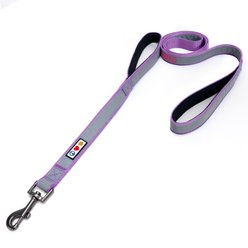 Pawtitas Personalized Reflective Dual Handle Dog Leash, Purple