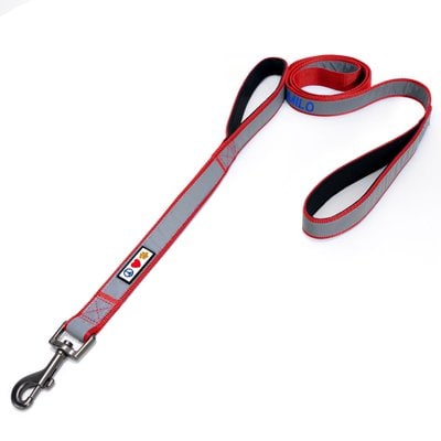Pawtitas Pawtitas Personalized Reflective Dual Handle Dog Leash, Red