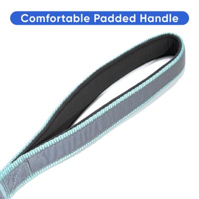 Show full view: Pawtitas Personalized Reflective Dual Handle Dog Leash, Teal slide 7 of 9