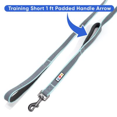 Show full view: Pawtitas Personalized Reflective Dual Handle Dog Leash, Teal slide 5 of 9